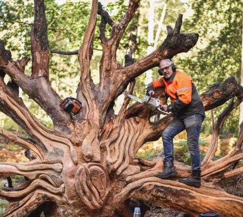 Samen met Theo Borger een omgevallen boom omgetoverd tot Medusa. Wat een werk!