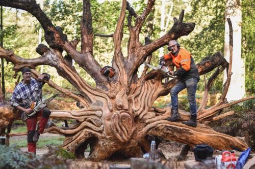 Samen met Theo Borger een omgevallen boom omgetoverd tot Medusa. Wat een werk!