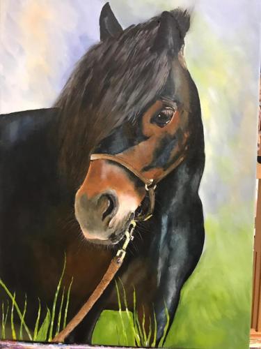 Paard 80 x 40 acryl