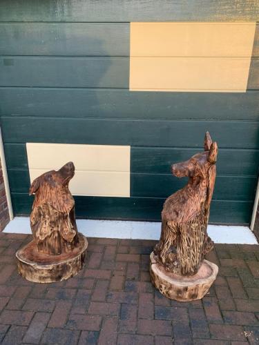 Twee honden
