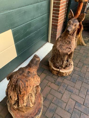 Twee honden